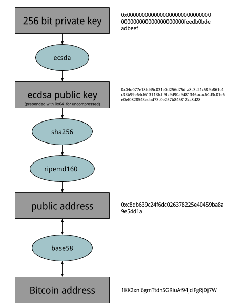 Generate rsa private key python florida